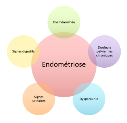 endomètre, endomètriose, labosalem